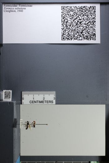 Media type: image;   Entomology 525312